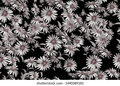 Monochrome seamless pattern with flowers on black background. For textile, wallpapers, print, greeting. Vector.