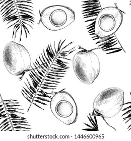 Monochrome seamless pattern with hand drawn coconuts and palm leaves. Vector illustration