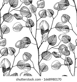 Monochrome seamless pattern with hand drawn silver dollar eucalyptys branches. Vector illustration.