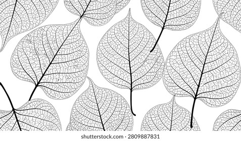 Monochrome seamless pattern of highly detailed black leaf skeletons with veins on a white background.