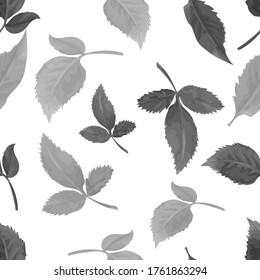 Monochrome seamless pattern with leaves on a white background. Hand drawn. Vector illustration.