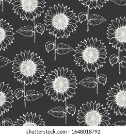 Patrón monocromo sin fisuras con boceto de girasol blanco de plumas de tinta sobre fondo negro. Ilustración dibujada a mano de bellas flores de sol, textura para textiles, papel de envoltura, superficie