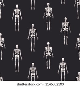 Monochrome seamless pattern with realistic skeletons on black background. Anatomical backdrop with human skeletal system. Vector illustration for wrapping paper, Halloween wallpaper, textile print