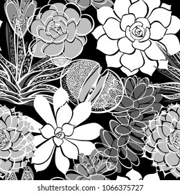 Monochrome seamless pattern with a succulents  on a black  background. Floral vector illustration.