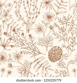 Monochrome seamless pattern with wild blooming meadow flowers and herbs drawn with contour lines on light background. Floral hand drawn vector illustration in vintage style for textile print.