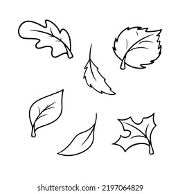Monochrome Set of autumn icons, autumn leaves from different trees, leaf fall, vector cartoon style on a white background.