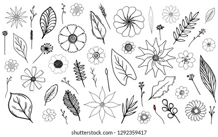 Monochrome set of beautiful isolated botanical vector lineart illustrations. The collection of black outline hand drawn flowers, leaves and herbs on white background