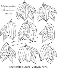 Monochrome Komposition mit Kakaobohnen und Blatt. Botanische Vektorgrafik.