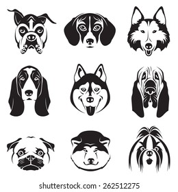 monochrome set of dogs heads 