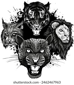 monochrome set of head feline vector illustration design