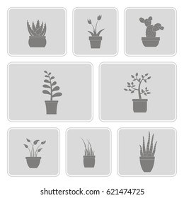 monochrome  set with house plants icons for your design