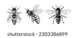 Monochrome set of three bees or honeybees
