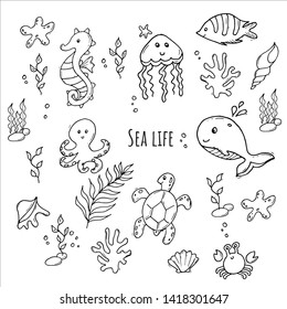 Monochrome set of various sea creatures. Cartoon fish, seahorse, crab, jellyfish, octopus, seastar, tartle, whale and shells. Black and white