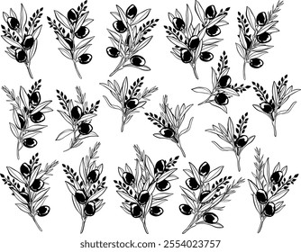 Monochrome set of vector composition with olive fruits and olive branches.