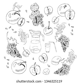 Monochrome set  of whole and sliced apples, jug, glass and grape. Hand drawn  sketch with ink apples and bunch of grape isolated on white  background. Vector illustration.