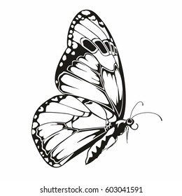 Free Free 109 Drawing Side Butterfly Svg SVG PNG EPS DXF File