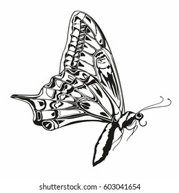 Monochrome side image of butterfly
