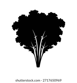 Imagen de silueta monocromática de un árbol frondoso con múltiples troncos, ilustración de silueta de racimo de col rizada