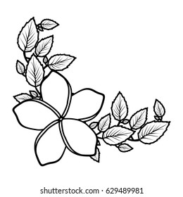 monochrome silhouette with malva flower with leaves vector illustration