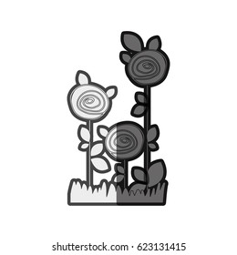 monochrome silhouette roses planted with leaves in grass vector illustration