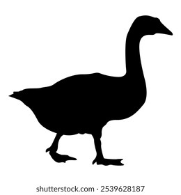 Monochrome Silhouette of Swan, Duck, and Bird from Side View, Simple Black and White Vector Illustration, Isolated on White Background, Editable and Scalable EPS for Graphic Design Use