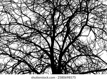 Monochrome silhouette of tree branches. hand drawing. Not AI Vector illustration.