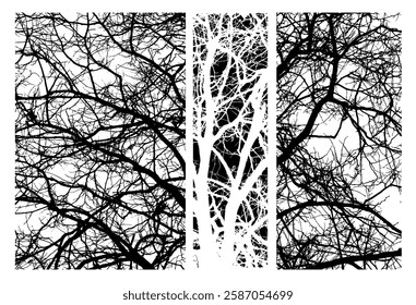 Monochrome silhouette of tree branches. hand drawing. Not AI Vector illustration.