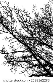 Monochrome silhouette of tree branches. hand drawing. Not AI Vector illustration.