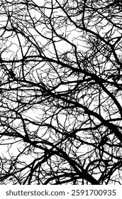 Monochrome silhouette of tree branches. hand drawing. Not AI Vector illustration.