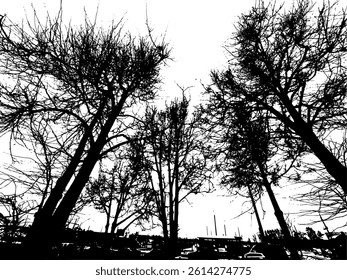 Monochrome silhouette of tree branches. hand drawing. Not AI Vector illustration.