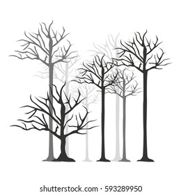 monochrome silhouette with trees without leafs vector illustration