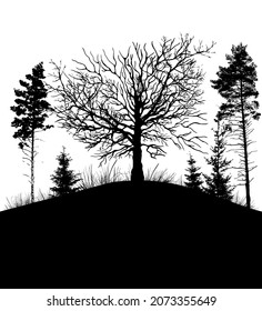Monochrome silhouettes of trees. Nature. Vector illustration