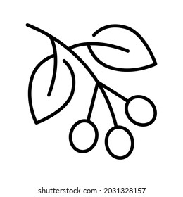 Monochrome simple coffee plant twig icon vector illustration. Outline symbol growing fresh botanical branch with beans of fragrance blossom isolated. Agricultural grown for aroma beverage cooking