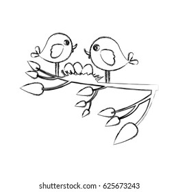 monochrome sketch of birds and nest in tree branch in closeup vector illustration