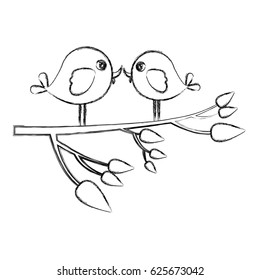 monochrome sketch with pair birds in tree branch vector illustration