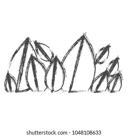 monochrome sketch set with natural leaves