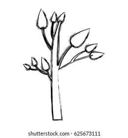 monochrome sketch of small tree with leafs vector illustration