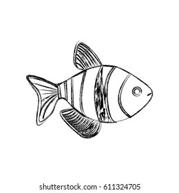 monochrome sketch with striped fish vector illustration