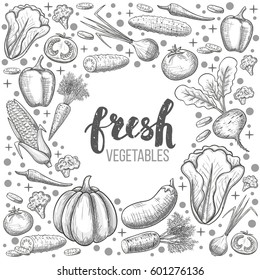 Monochrome sketch style set of vegetables icons. Eco organic fresh template with vegetables for the decoration of menu. Vector.