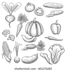 Monochrome sketch style set of vegetables icons. Eco organic fresh template with vegetables for the decoration of menu. Vector.