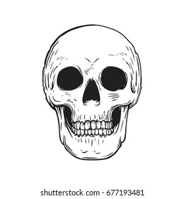monochrome skull