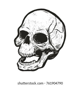 Monochrome skull with grunge texture. Vector clip art