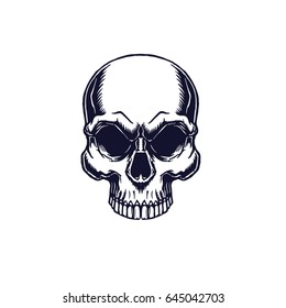Monochrome skull high detailed illustration