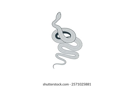 Monochrome snake illustration with coiled body. Minimalistic black and white drawing of a snake isolated on white background