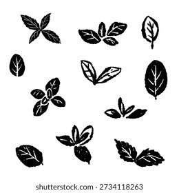 Monochrome Spearmint Leaves Set Vector