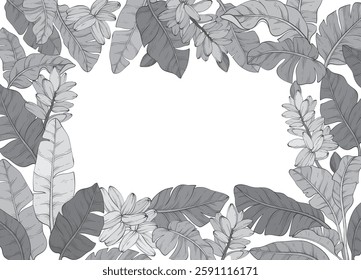 monochrome square frame adorned with Tropical vector banana palm leaves and flowers