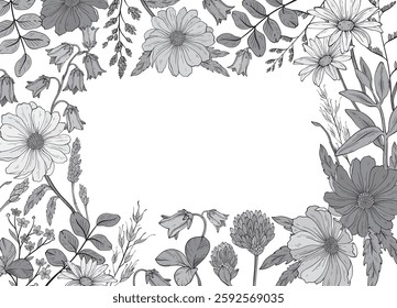 monochrome square frame of different wild herbs and flower