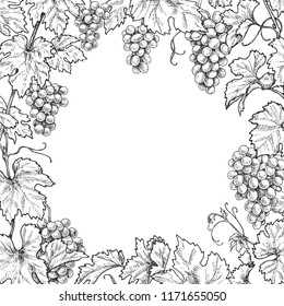 Monochrome square frame made with grapes branches and berries.  Hand drawn grape bunches and leaves. Black and white border with space for text. Vector sketch.