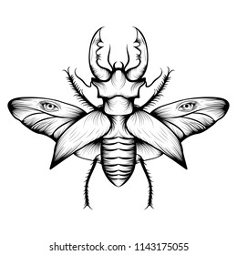 Monochrome stag beetle drawing. Nice and beautiful hand-drawn vector illustration