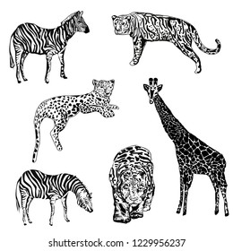 monochrome stylized african animals set on white background, design for fashion prints, case phone, cover notebook